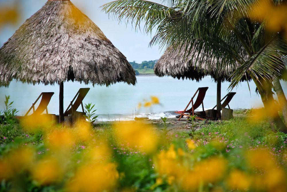 Iguana Lodge Beach Resort And Spa Puerto Jiménez Eksteriør bilde